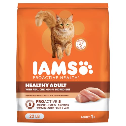 Best budget cat foods in canada