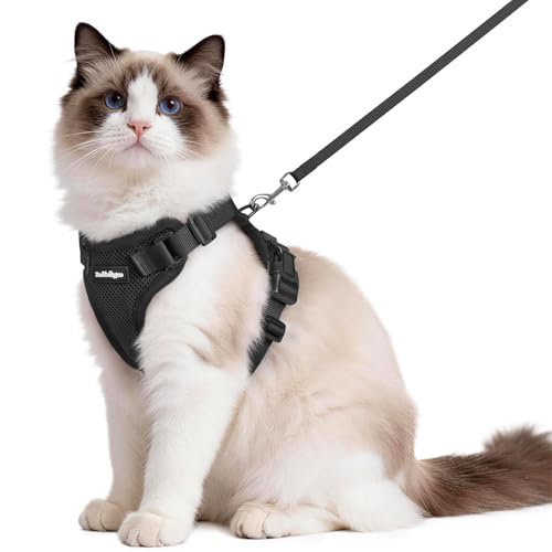 rabbitgoo Cat Harness and Leash Set, Escape Proof Vest, Black