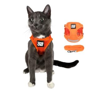 Travel Cat / Fat Cat Harness and Leash Set (Orange, Medium)