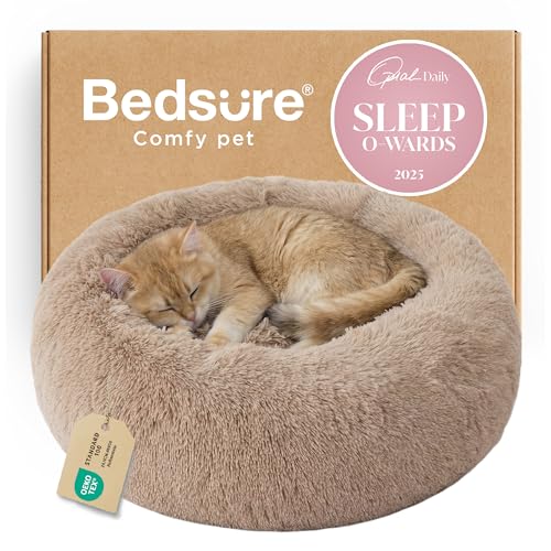 Soft donut-style calming bed for indoor Korat or Russian Blue cats