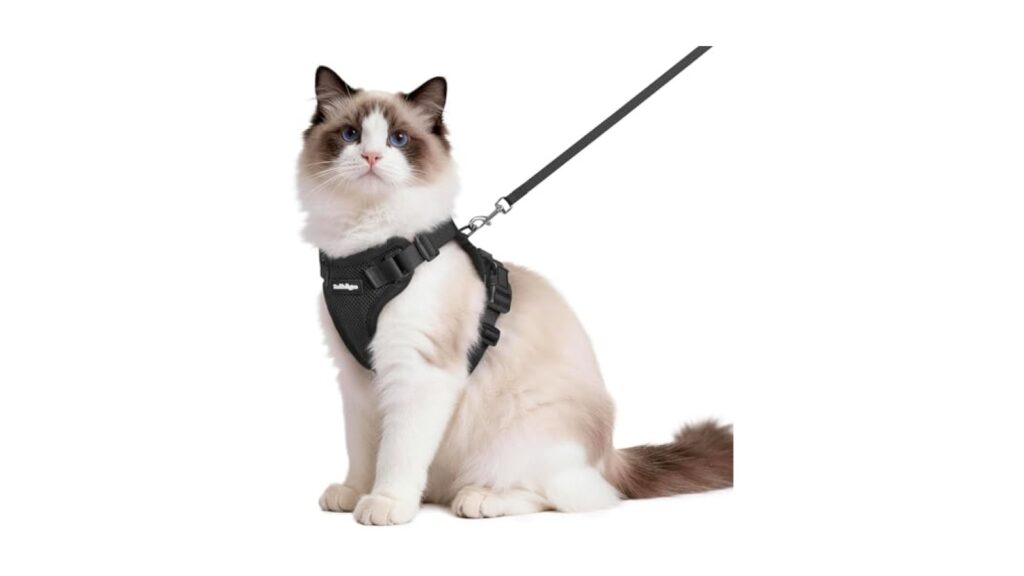 rabbitgoo Cat Harness and Leash Set, Escape Proof Vest, Black