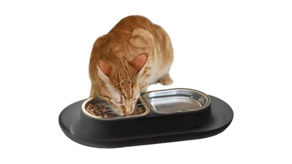 Hepper NomNom - Spill Proof Elevated Cat Bowls - Stainless Steel - Gray