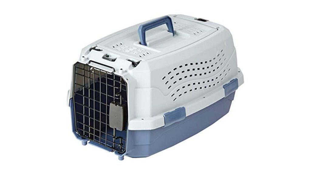 Amazon Basics 2-Door Top-Load Hard-Sided Pet Travel Carrier for Cats and Small Dogs, 19" L x 12.6" W x 10" H, Gray & Blue