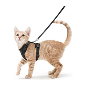 rabbitgoo Cat Harness and Leash Set, Escape Proof Vest