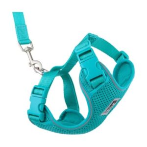RC Pets Adventure Kitty Cat Harness + 6ft Leash (Teal, Small)