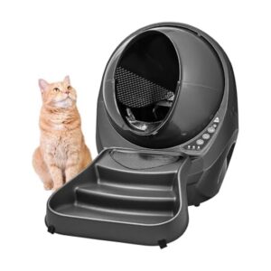 Whisker Litter-Robot 3 Connect & Ramp (Grey)