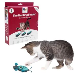 Doc and Phoebe indoor hunting feeder