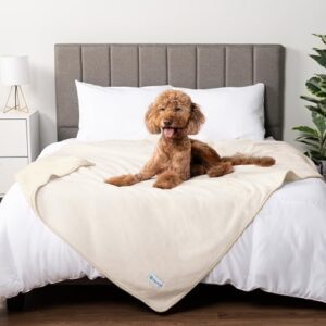 PetAmi Waterproof Dog/Cat Blanket, Queen 90×90 Beige
