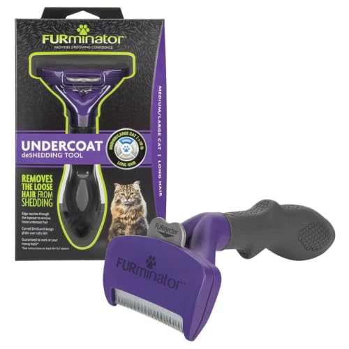 Best Brushes for Maine Coon Cats (2026): Long-Hair Tools That Scale