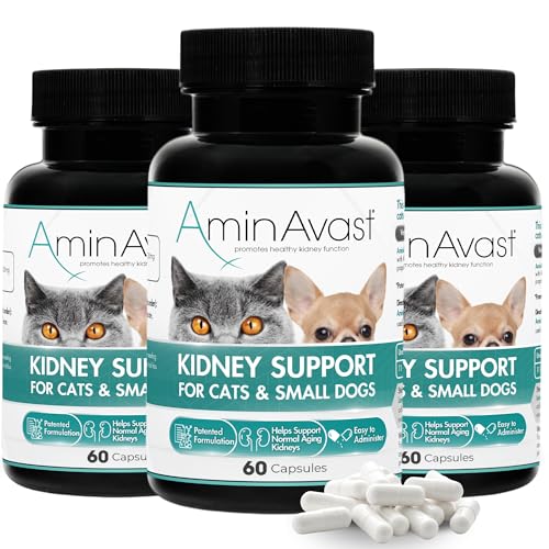 AminAvast Kidney Support for Cats & Small Dogs, 300 mg, 3-Pack, 60 Capsules