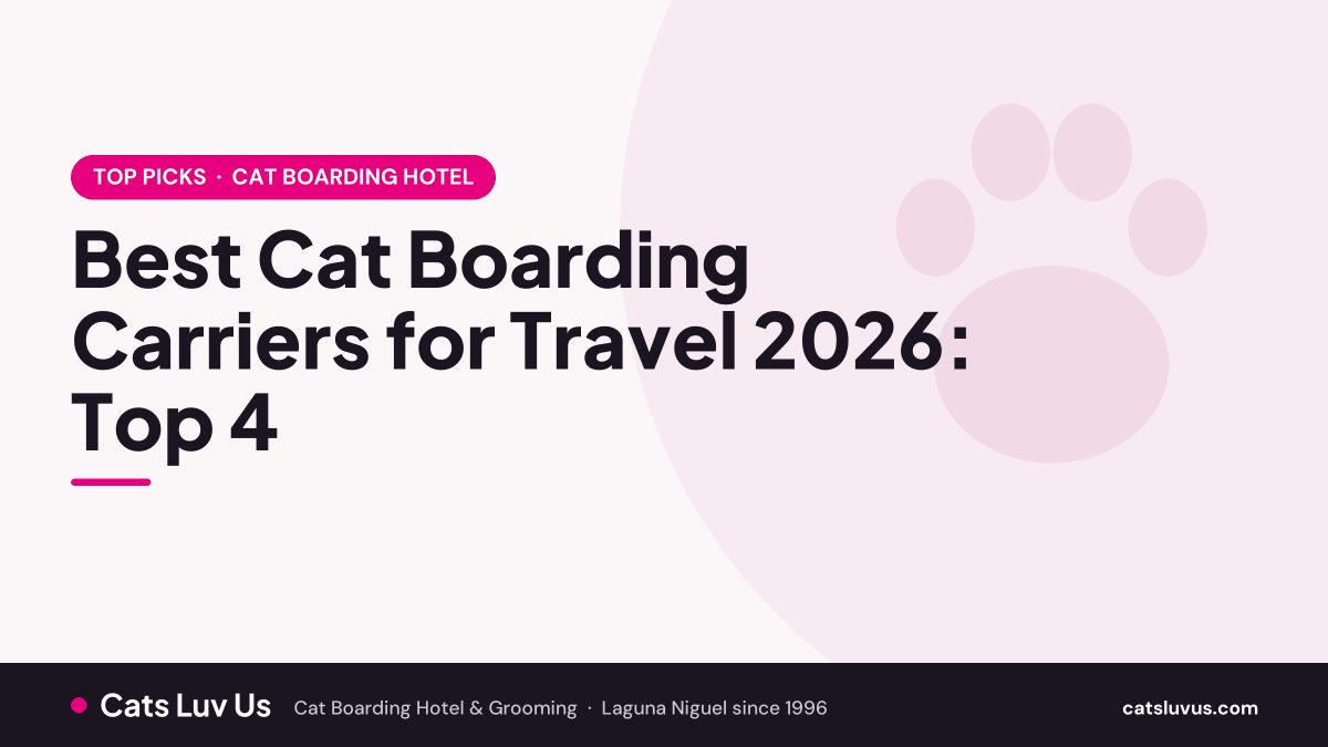 Best Cat Boarding Carriers for Travel 2026: Top 4