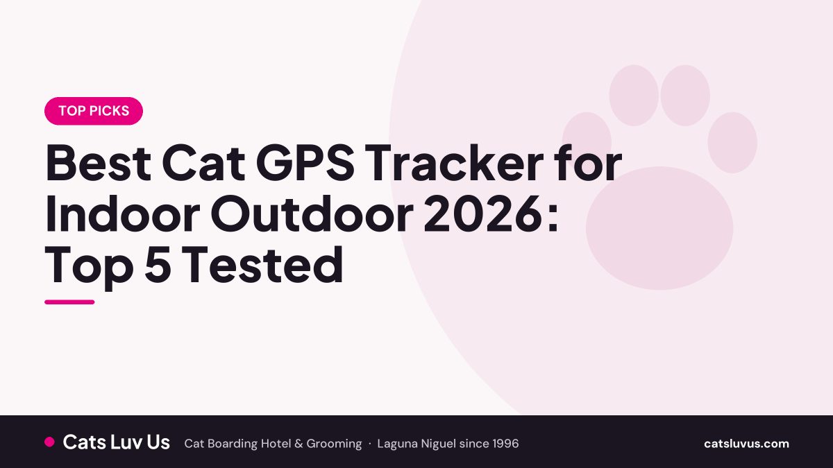 Best Cat GPS Tracker for Indoor Outdoor 2026: Top 5 Tested