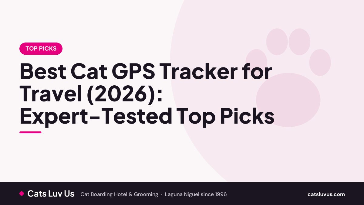 Best Cat GPS Tracker for Travel (2026): Expert-Tested Top Picks