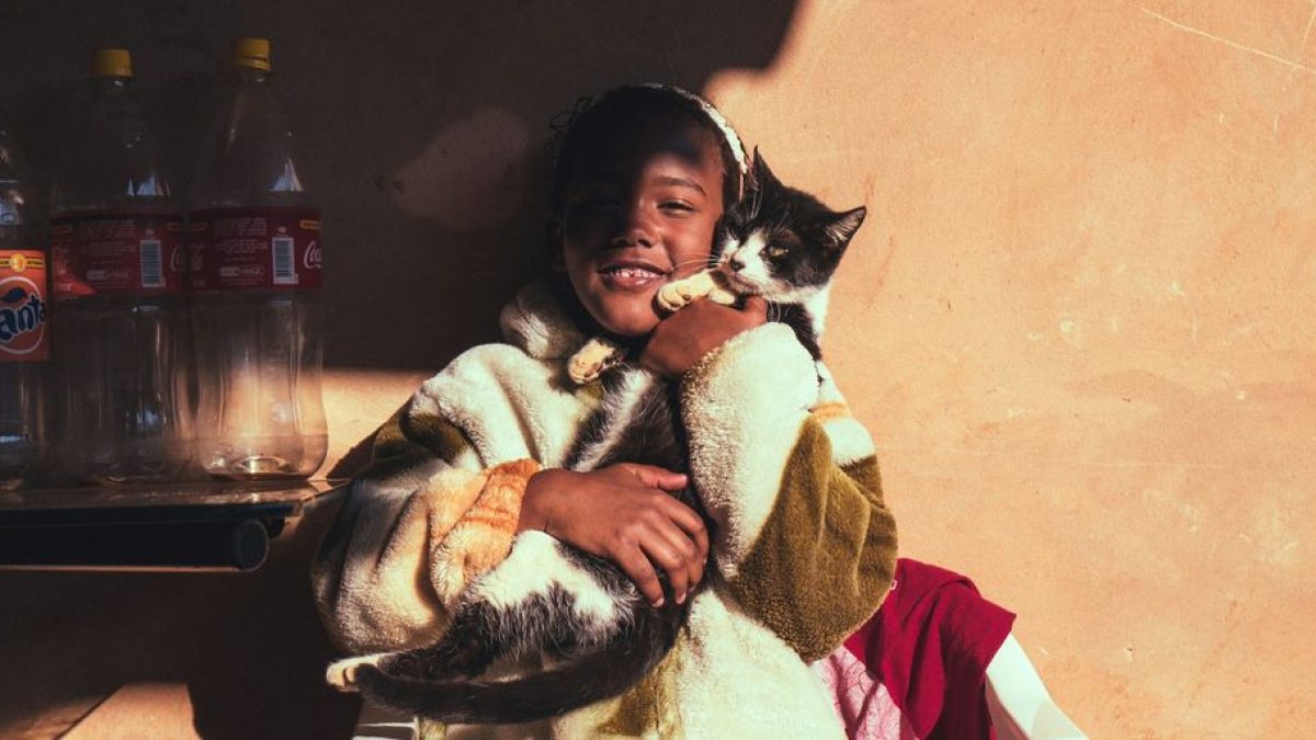 Can Cats Smile? Interpreting Feline Facial Expressions