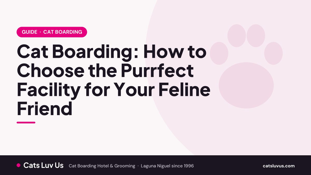Cat Boarding: How to Choose the Purrfect Facility for Your Feline Friend