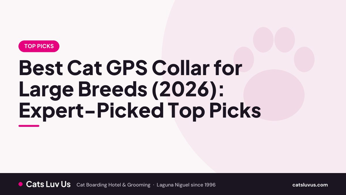 Best Cat GPS Collar for Large Breeds (2026): Expert-Picked Top Picks