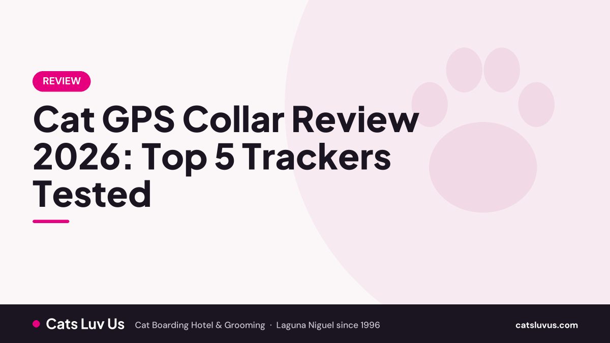 Cat GPS Collar Review 2026: Top 5 Trackers Tested