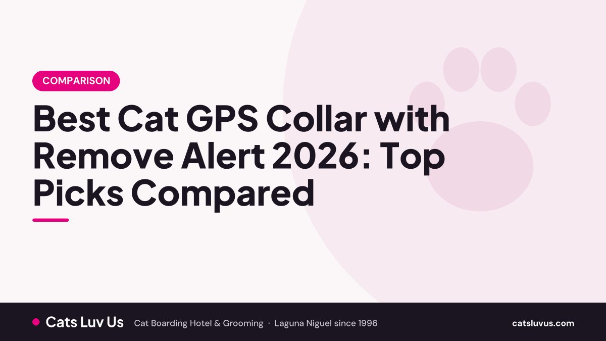 Best Cat GPS Collar with Remove Alert 2026: Top Picks Compared