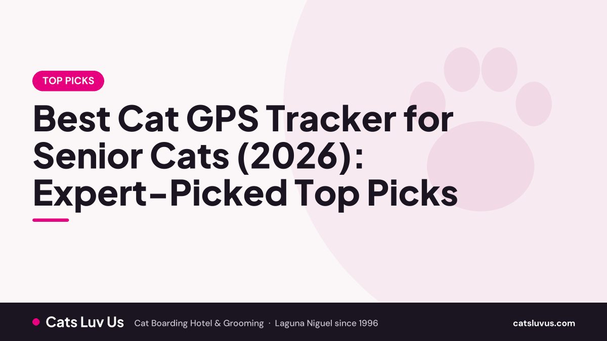 Best Cat GPS Tracker for Senior Cats (2026): Expert-Picked Top Picks