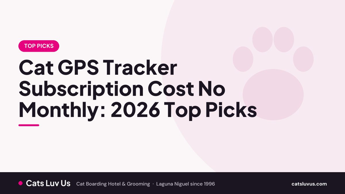 Cat GPS Tracker Subscription Cost No Monthly: 2026 Top Picks