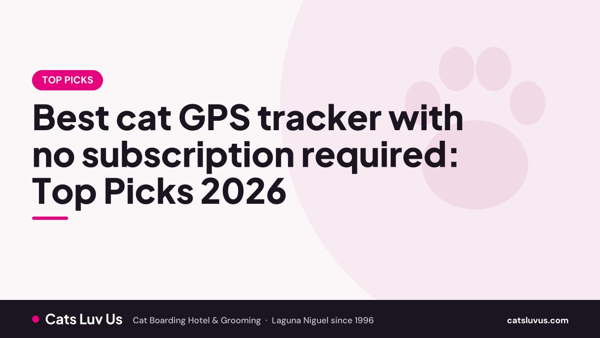Best cat GPS tracker with no subscription required: Top Picks 2026