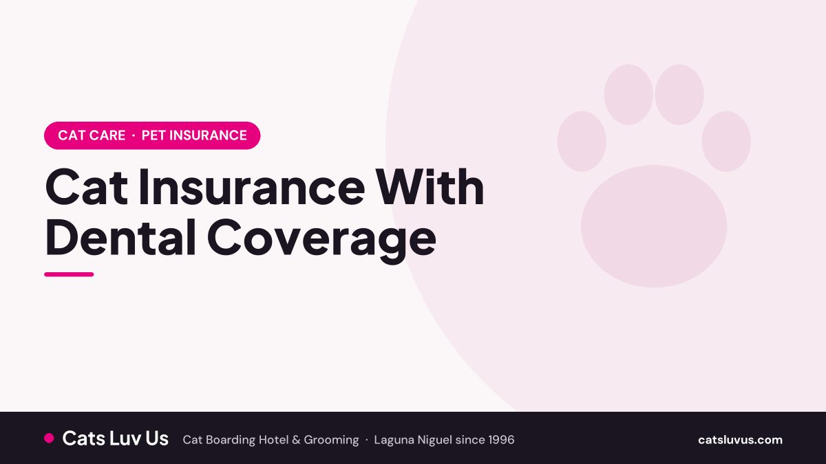 Cat Insurance With Dental Coverage