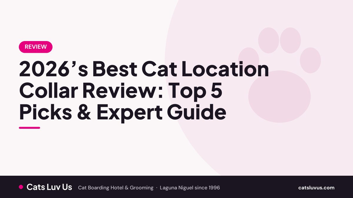 2026’s Best Cat Location Collar Review: Top 5 Picks & Expert Guide