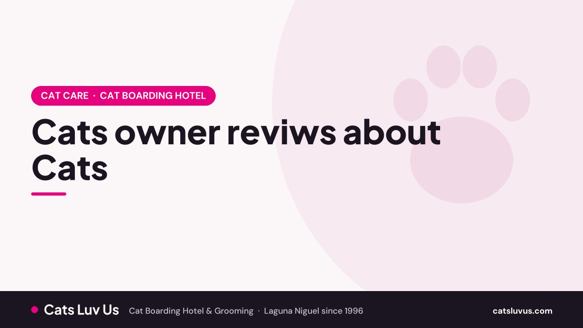 Cats owner reviws about Cats