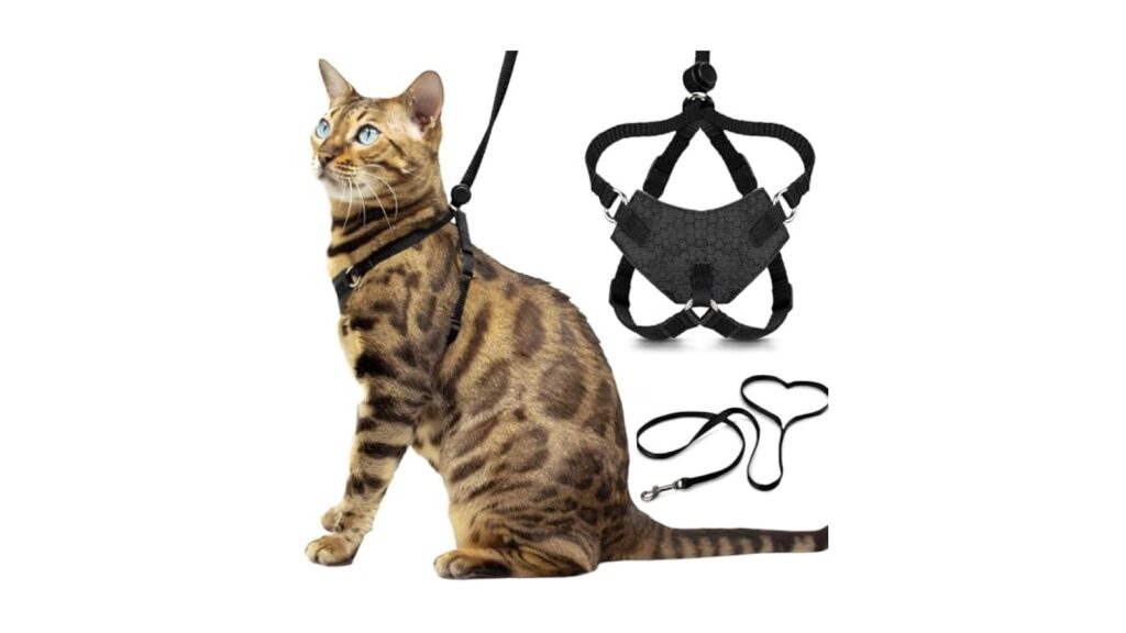 OutdoorBengal Houdini™ Escape Proof Cat Harness and Leash (Black, M/L)