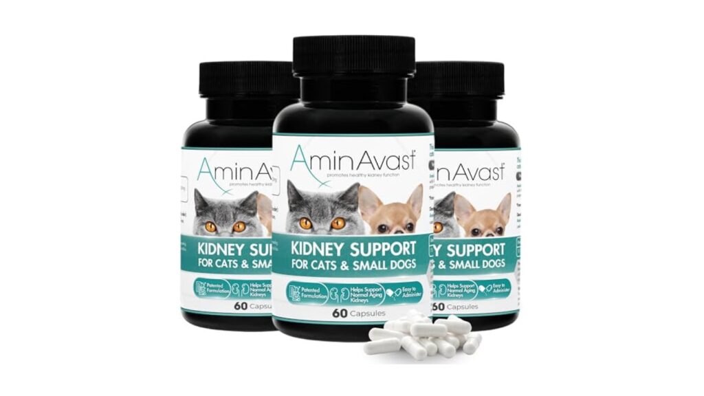 AminAvast Kidney Support for Cats & Small Dogs, 300 mg, 3-Pack, 60 Capsules