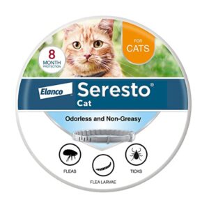Seresto Cat collar, 1 count