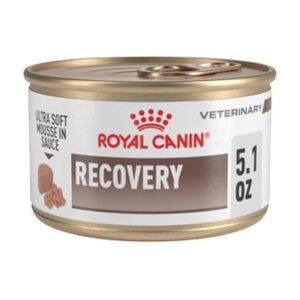 Royal Canin Veterinary Diet Recovery Ultra Soft Mousse