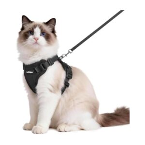 rabbitgoo Cat Harness and Leash Set, Escape Proof Vest, Black