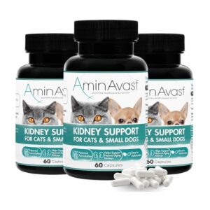 AminAvast Kidney Support Cats & Small Dogs 300 mg