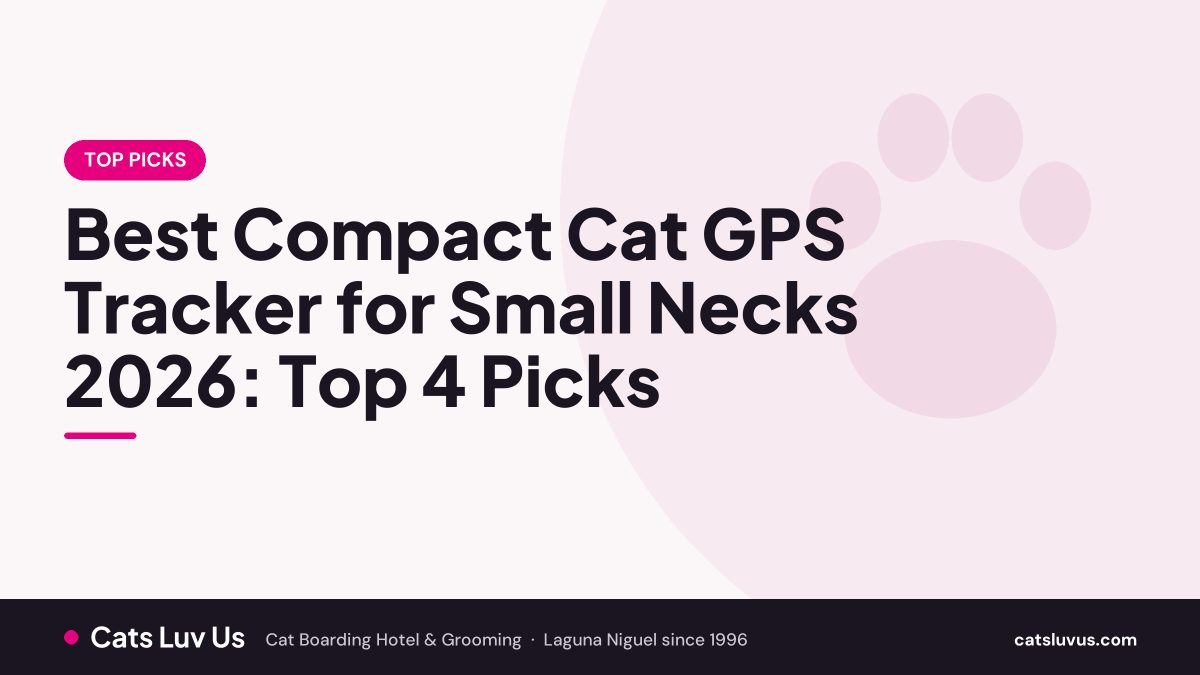 Best Compact Cat GPS Tracker for Small Necks 2026: Top 4 Picks