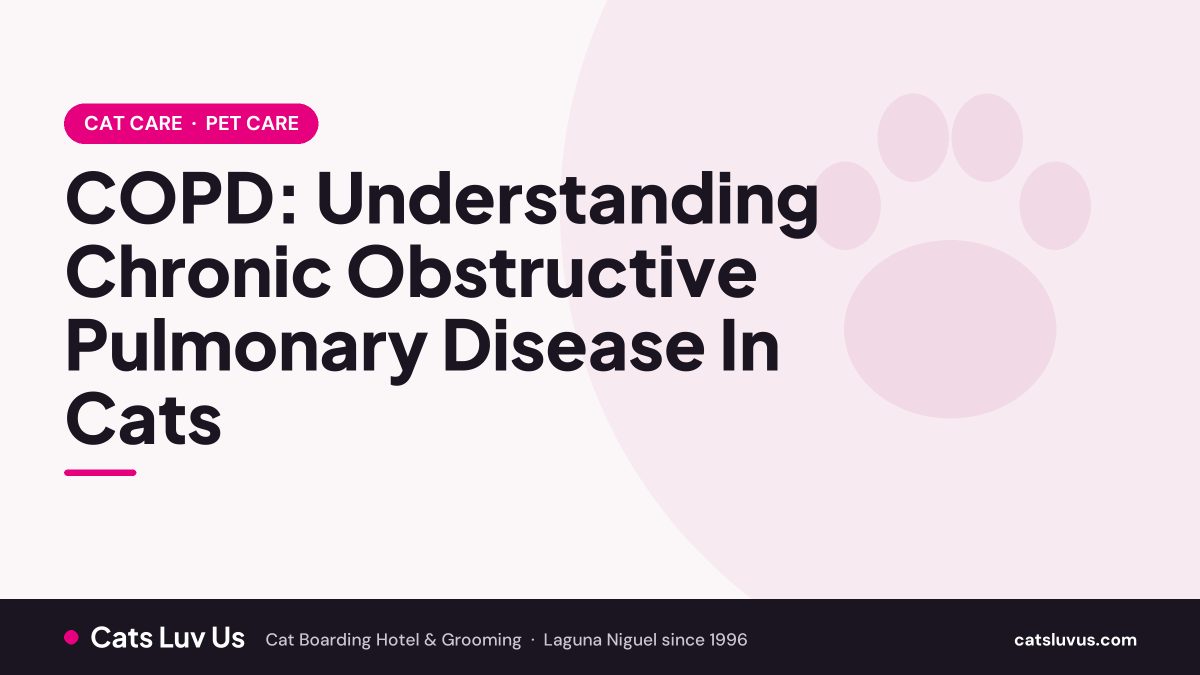 COPD: Understanding Chronic Obstructive Pulmonary Disease In Cats