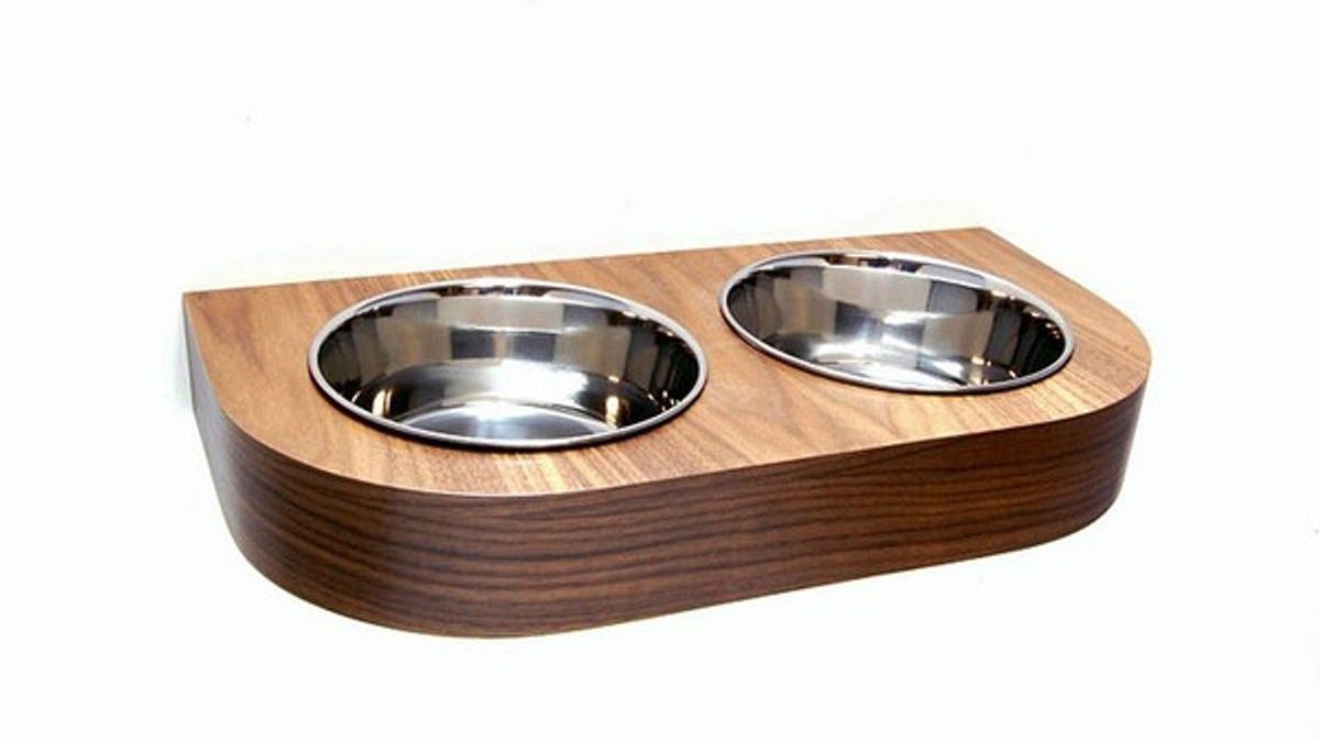 Designer Dishes: Stylish Cat Bowls Your Pet Will Love