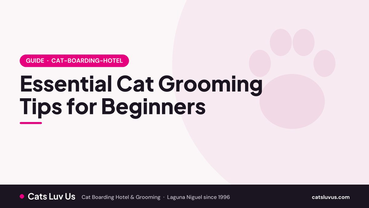 Cat grooming tips