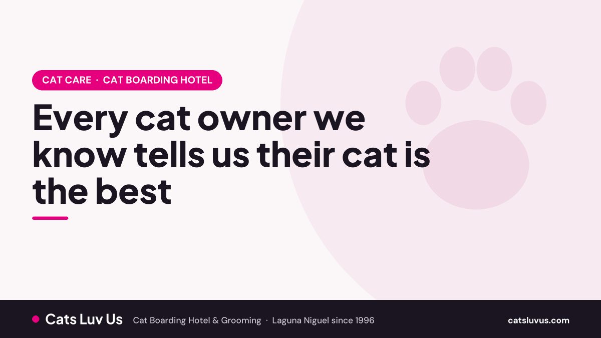 Every cat owner we know tells us their cat is the best