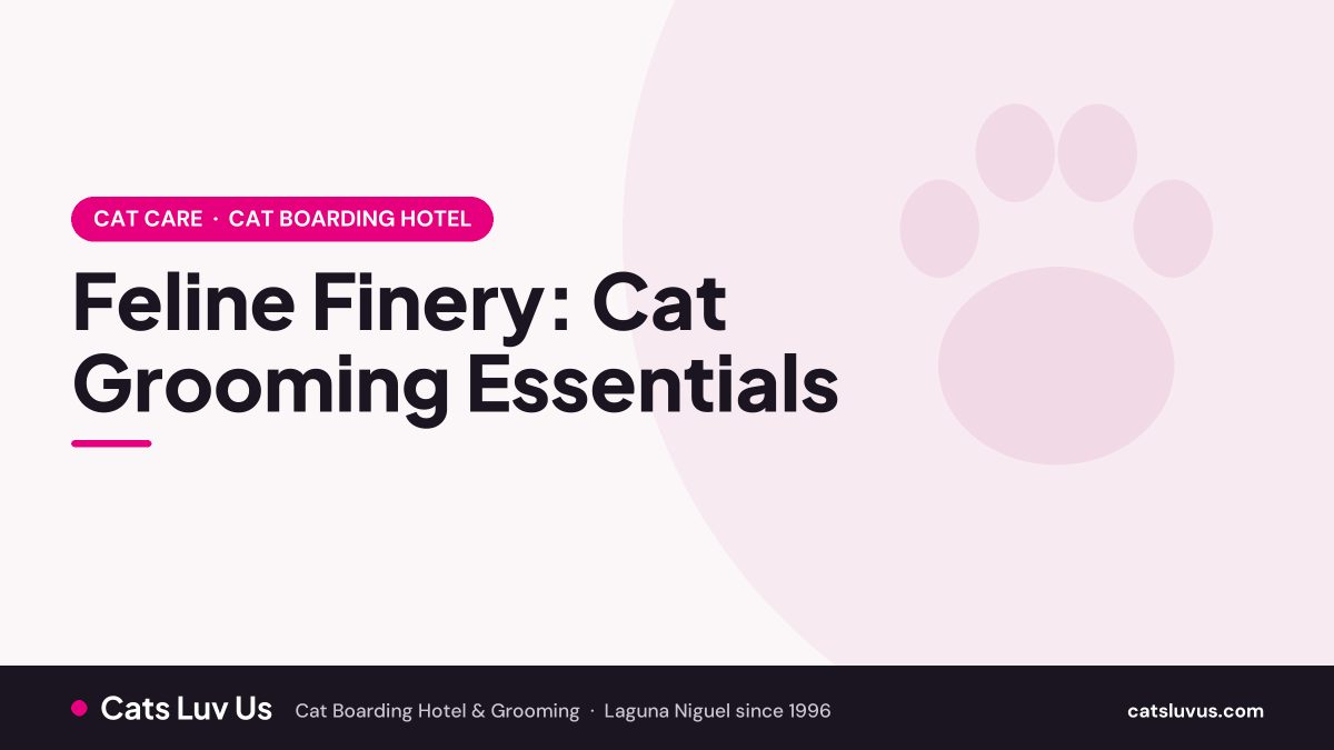 Feline Finery: Cat Grooming Essentials