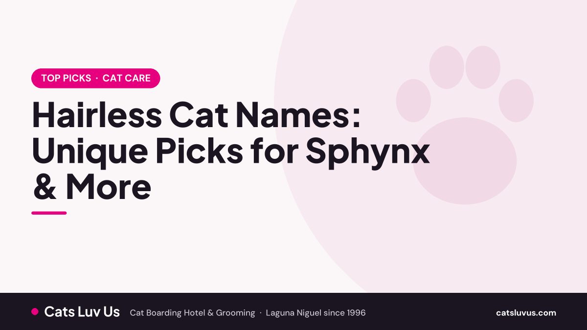 Hairless Cat Names: Unique Picks for Sphynx & More
