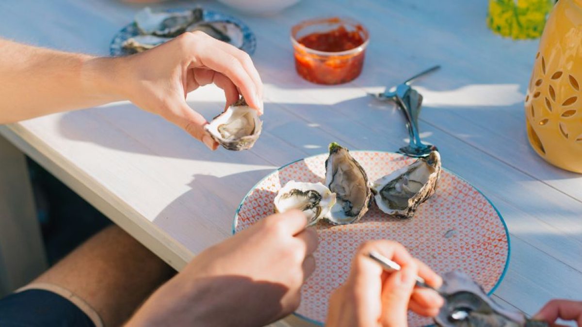 Holistic Health: Top Cat Food Picks for a Natural Diet