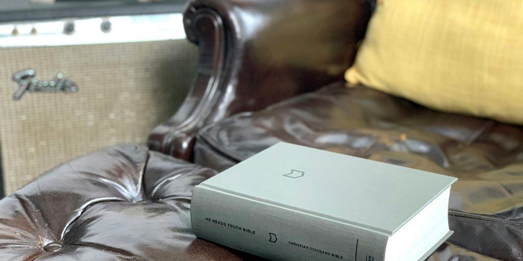 Gray cat books bed