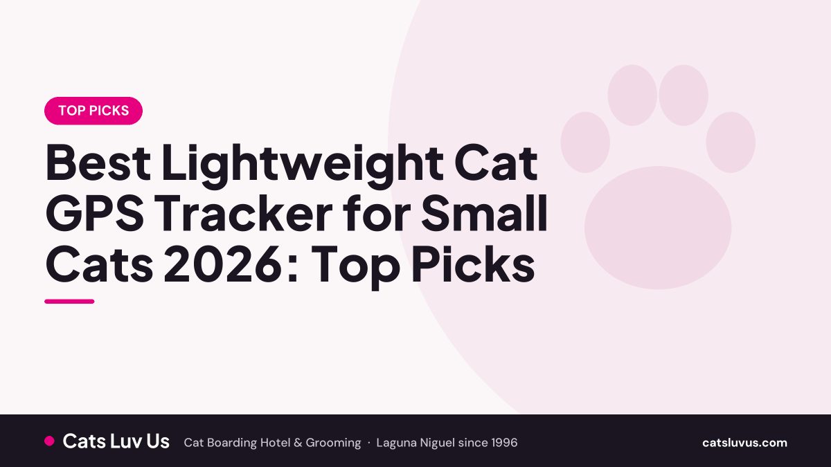 Best Lightweight Cat GPS Tracker for Small Cats 2026: Top Picks