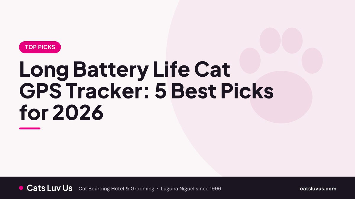 Long Battery Life Cat GPS Tracker: 5 Best Picks for 2026
