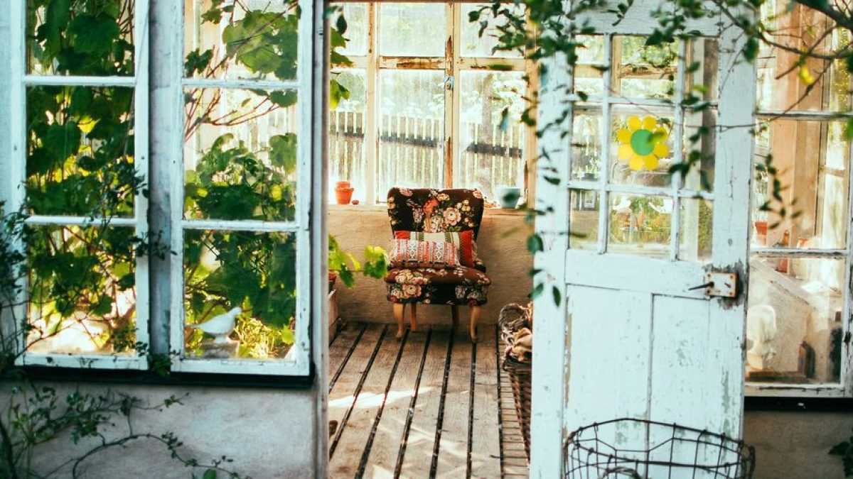 Keeping Moles Away from Cat-Friendly Yards
