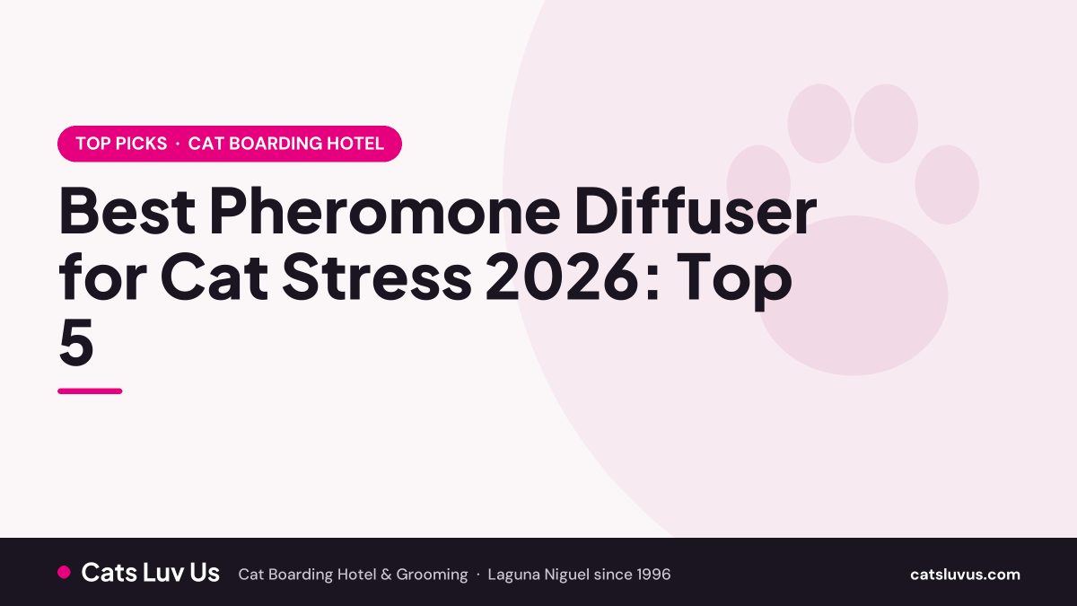 Best Pheromone Diffuser for Cat Stress 2026: Top 5