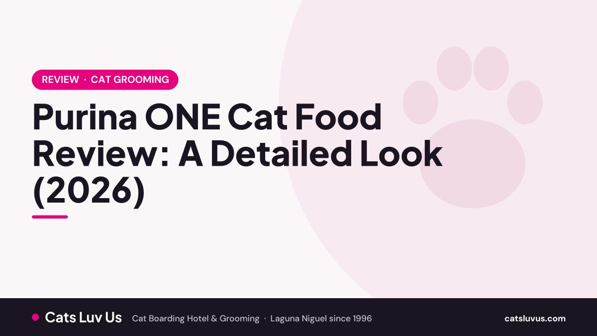 Purina ONE Cat Food Review: A Detailed Look (2026)