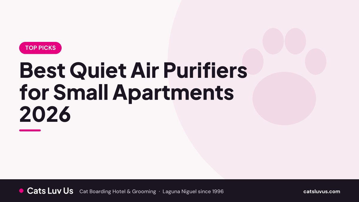 Best Quiet Air Purifiers for Small Apartments 2026