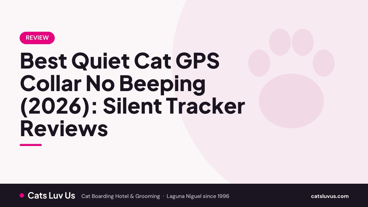 Best Quiet Cat GPS Collar No Beeping (2026): Silent Tracker Reviews
